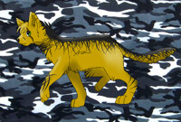 leo