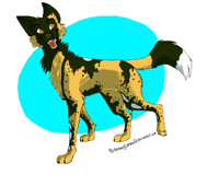 Chakera Struts Like She Means It 