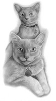 Realism:: Sprite and Pixel