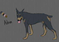Adam [Ref gift]
