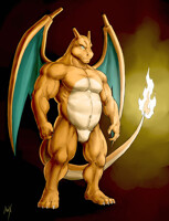 Well Trained Charizard