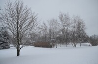 Snow, snow, and more snow