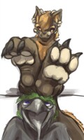 Valentines Paws