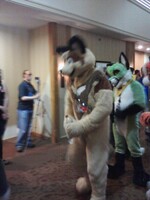 Fursuit Parade #6